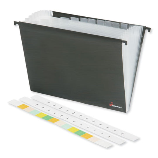 SKILCRAFT Poly Expanding Hanging File - 12-Tab - Letter - NSN 7530-01-681-9291 / 7530016819291